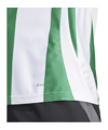 adidas Striped 24 Trikot Weiss Grün - weiss