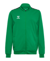 Hummel AUTHENTIC PL Trainingsjacke Kids Grün F6235 - gruen