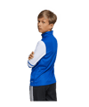 adidas Squadra 25 HalfZip Sweatshirt Kids Blau - blau