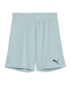 PUMA teamGOAL Short Kids Grün F41 - gruen
