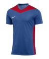 Nike Park Derby IV Trikot Kids Blau Rot F464