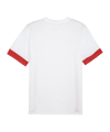PUMA teamGOAL Matchday Trikot Weiss Rot F11 - weiss