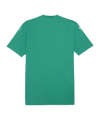 PUMA teamGLORY Trikot Grün Weiss Grün F05 - gruen