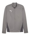 PUMA teamGOAL Trainingsjacke Grau F13 - grau