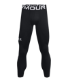Under Armour ColdGear Tight Schwarz F001