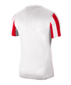 Nike Division IV Striped Trikot kurzarm Weiss F104 - weiss