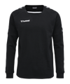 Hummel Authentic Training Sweatshirt F2114 