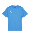 PUMA teamGOAL Trikot Kids Blau F02 - hellblau