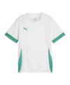 PUMA teamGOAL Matchday Trikot Kids Weiss Grün F15