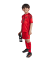 adidas FC Bayern München Minikit Home 2024/2025 Kids Rot - rot