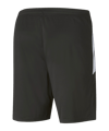 PUMA teamLIGA Short Schwarz Rot F41 - schwarz