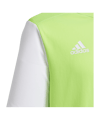adidas Estro 19 Trikot kurzarm Kids Hellgrün Weiss - gruen