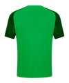 JAKO Performance T-Shirt Kids Grün Schwarz F221 - gruen