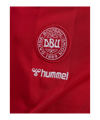 hummel DBU Dänemark Trikot Home 2026 Kids Rot F3365 - rot