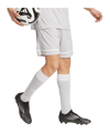 adidas Squadra 25 Short Grau - grau
