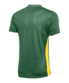 Nike Park Derby IV Trikot Grün Gelb F303 - gruen