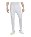 Nike Strike Trainingshose Weiss F043 - weiss