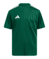 adidas Trikot Kids Grün - gruen