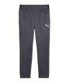 PUMA IndividualLIGA Trainingshose Grau F08 - grau