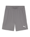 PUMA teamGOAL Short Grau Weiss F13 - grau