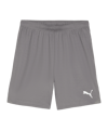 PUMA teamGOAL Short Grau Weiss F13 - grau