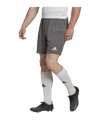 adidas Entrada 22 Short | Grau - grau