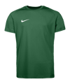 Nike Park VIII Trikot Kids Grün F302 - gruen