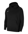 Nike Park 20 Fleece Hoody | Schwarz Weiss F010 - schwarz