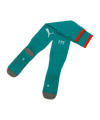 PUMA FPF Portugal Striped Strumpfstutzen Away WM 2026 Grün F07 - gruen