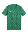 PUMA teamGLORY Trikot Kids Grün Weiss Grün F05 