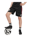 adidas Ajax Amsterdam Training Short Kids Schwarz - schwarz