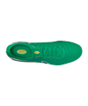 Nike Tiempo Legend X Elite FG Fear Nothing Grün F300 - gruen