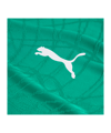 PUMA teamFINAL26 Knit Trikot Grün F05 - gruen