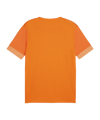 PUMA teamGOAL Matchday Trikot Orange Weiss F08 - orange