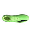 adidas X Speedportal.1 FG Game Data Grün Schwarz - gruen