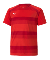 PUMA teamVISION Trikot Kids Rot F01 - rot
