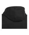 adidas Entrada 22 Hoody Kids Schwarz - schwarz