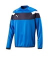 PUMA Spirit II Training Sweatshirt Blau Weiss F02 - blau
