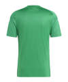 adidas Campeon 23 Trikot Grün - gruen