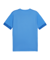 PUMA teamGOAL Matchday Trikot Blau Weiss F02 - blau