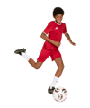 adidas Entrada 26 Trikot Kids Rot - rot