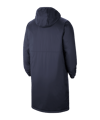 Nike Park 20 Winterjacke Blau F451 - blau