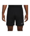 Nike Academy 25 Short Schwarz F010 - schwarz