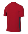 Nike Park Derby IV Trikot Kids Rot Blau F658 - rot