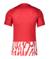 Nike Dry NE GX1 Trikot Rot Weiss F657 - rot