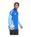 adidas Tiro 25 Competition Sweatshirt Blau | - blau