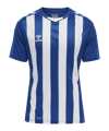 Hummel hmlCORE XK Striped Trikot Blau Weiss F7691 - blau