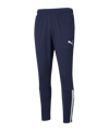 PUMA teamLIGA Trainingshose Blau F06