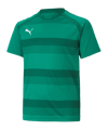 PUMA teamVISION Trikot Kids Grün F05 - gruen
