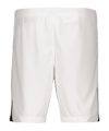 Nike Dri-FIT League 3 Short Kids Weiss F100 - weiss